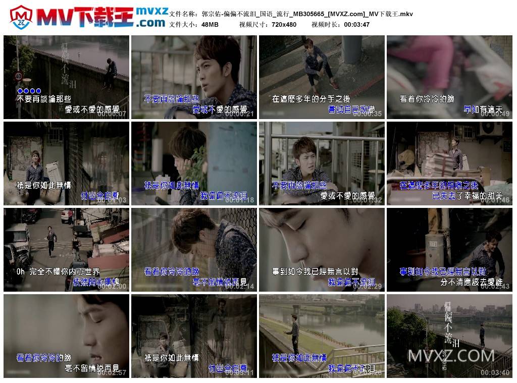 郭宗佑-偏偏不流泪_国语_流行_MB305665